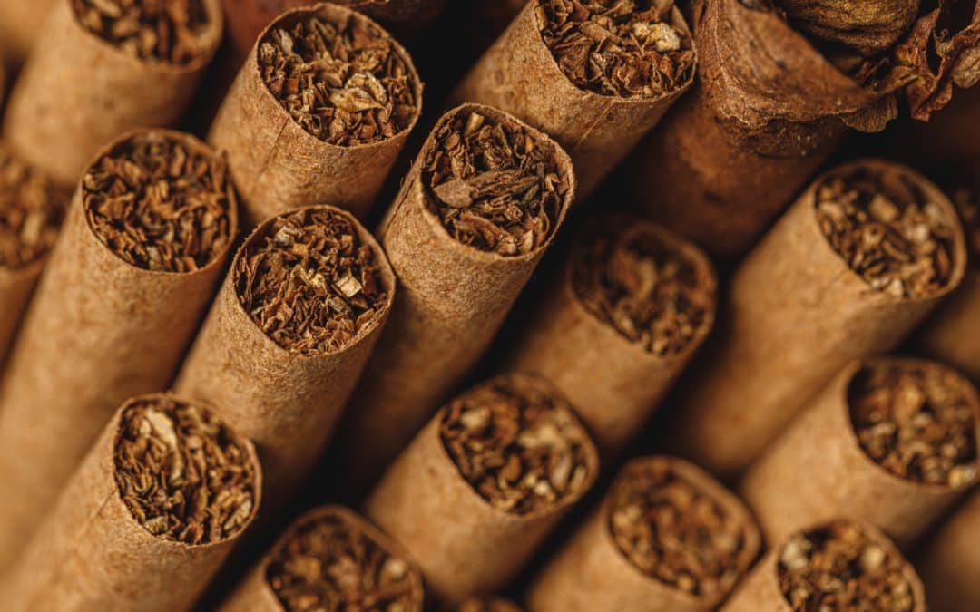Guide du débutant : découvrir le cigare étape par étape